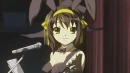 haruhi