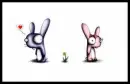 Bunny Love