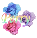 Perry