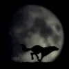 Wolf Moon