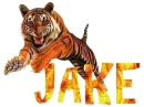 Tiger - Jake