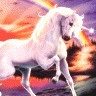 Unicorn2
