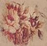 rose background