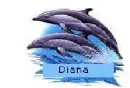 Dolphins