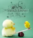 friends forever 