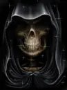skull