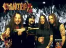 Pantera