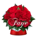 Faye