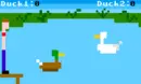 Duck Pond