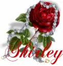 Shirley