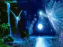 Night Time Fantasy 
