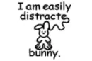 oooooooooooooooooooh bunny!