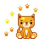 Cute Cat!!!