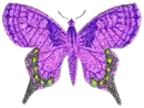 purple butterfly