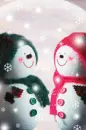SNOW COUPLE