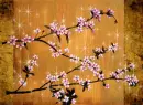 cherry blossoms