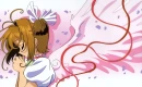 sakura