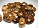 argoite gem stone crystals