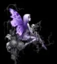 fairy