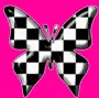 Checkered Butterfly