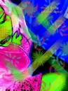Colorful Explosion