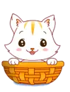 Cute Kitty!