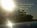 The Things you have
