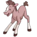 danna foal