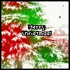merry christmas in green and white