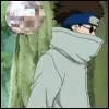 disco shino