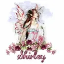 Fairy Shirley