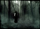 Girl in the Woods