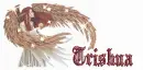 Sparkled Angel - Trishna