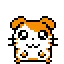 Hamtaro