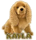 Kayla w/Cocker Spaniel