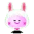 Bunny Costume