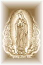virgen de guadalupe 