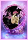 Pink Fairy