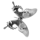 fluturas