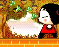 pucca