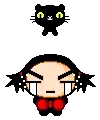 pucca