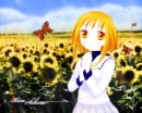 kisa
