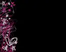 black pink white misc punk