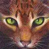 brambleclaw (glowing eyes)