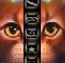 warriors icon