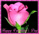 happy valentines day