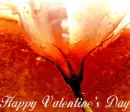 happy valentines day