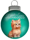 Kaitlen