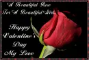 happy valentines day my love