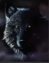 Black Wolf